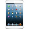 Apple iPad mini 16Gb Wi-Fi + Cellular белый - Прохладный
