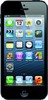 Apple iPhone 5 16GB - Прохладный